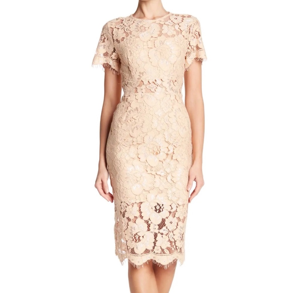 NSR Lace Short Sleeve Sheath Midi Dress sz Medium - Picture 1 of 10